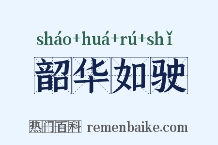 韶华如驶是什么意思的图片